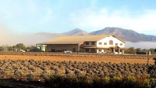 The Beautiful Salinas Valley - Creekside Farms