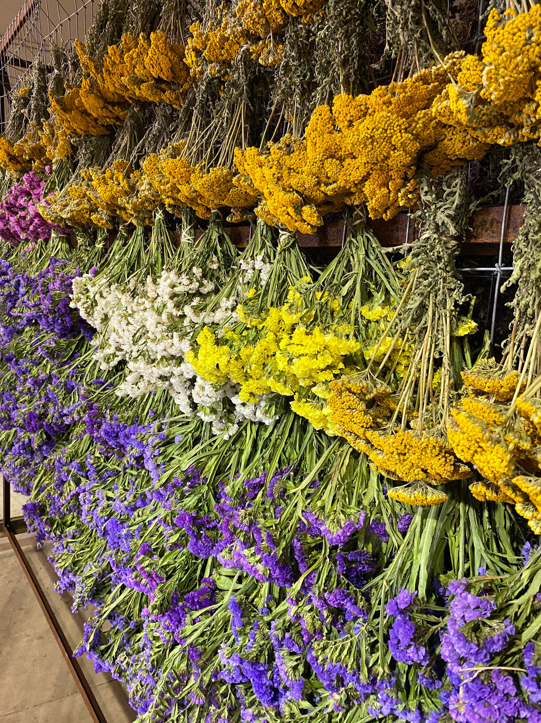 dried flowers hanging on wall