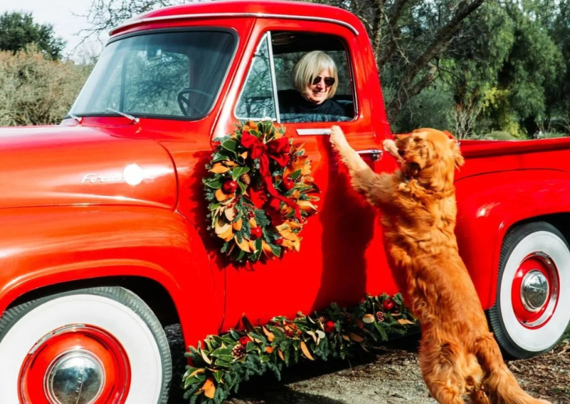 red truck with wreath on door, person inside and dog outside