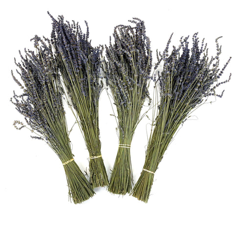 Dried English Lavender Bundles – Stark Lavender Fields