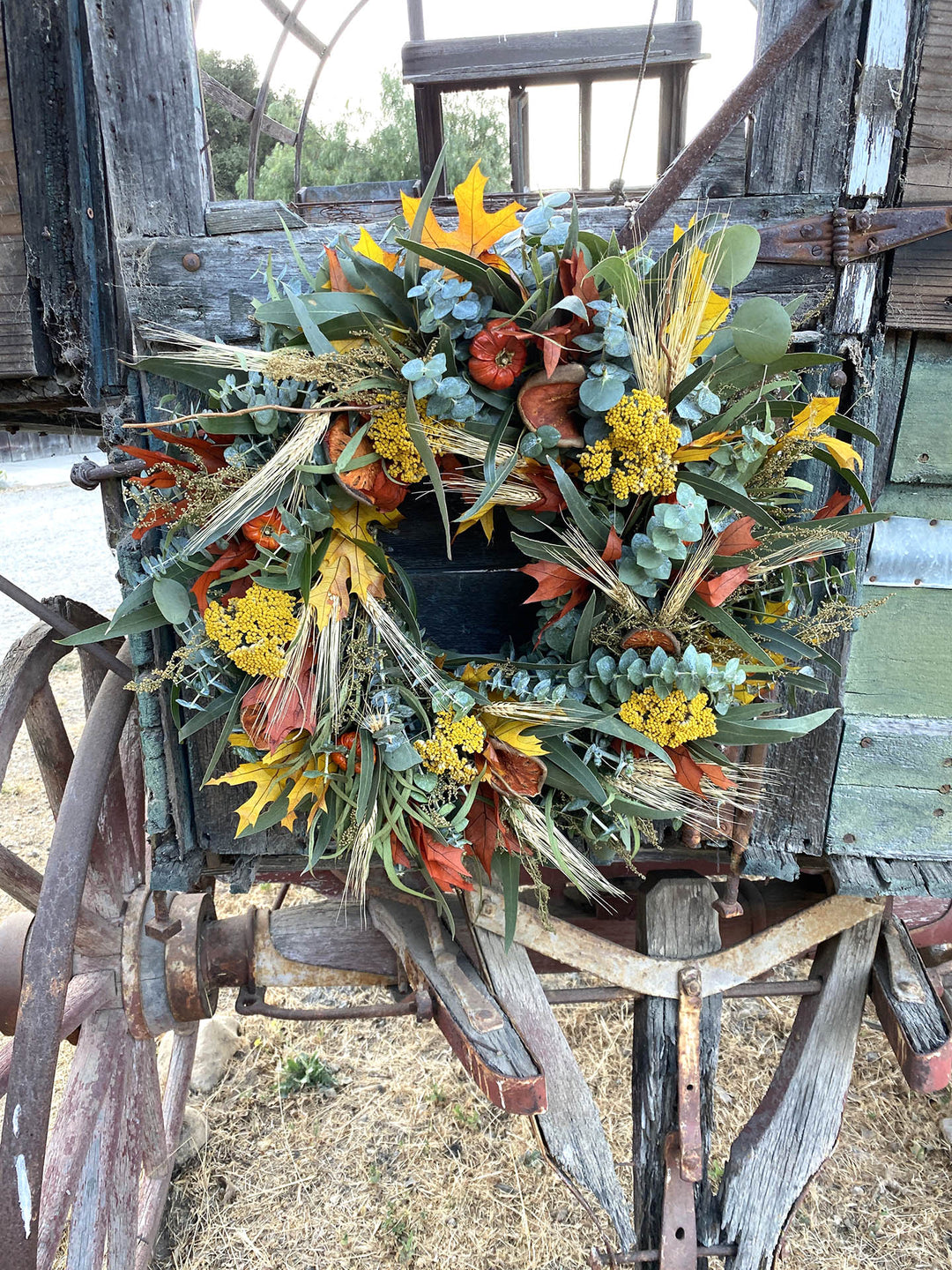 Fresh and Fragrant Wreath - Creekside Farms Eucalyptus, bay, quince slices, peppers, sweet Annie, leaves, wheat & willow wreath 16"/18"/22"/30"