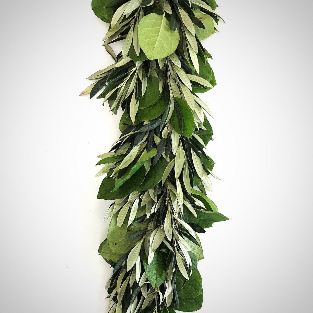 Fresh Olive and Salal Garland 6' - Creekside Farms Lovely mix of olive branches and salal garland 6'