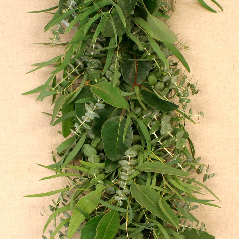 Mixed Eucalyptus Garland 6' - Creekside Farms Beautiful assortment of fresh mixed eucalyptus garland 6'